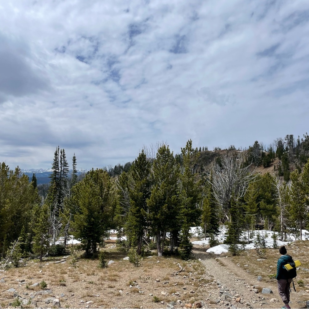 Meet your Posher, Hannah